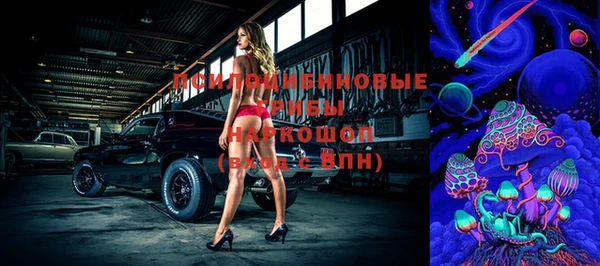 гашик Бородино