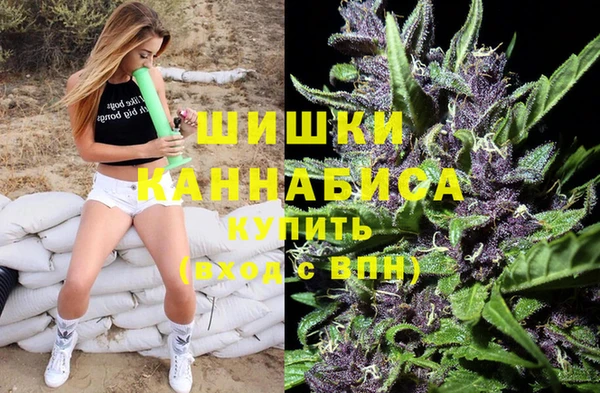 гашик Бородино