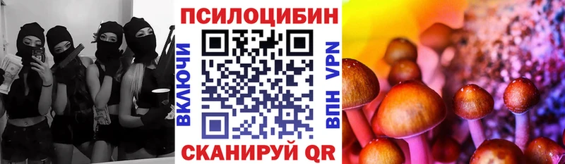 хочу наркоту  Энем  Галлюциногенные грибы GOLDEN TEACHER 